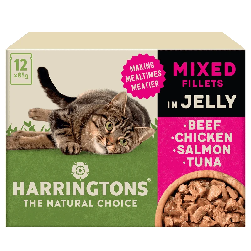 Complete Grain-Free Adult Mixed Selection in Jelly Wet Cat Food Bundle 72x85g