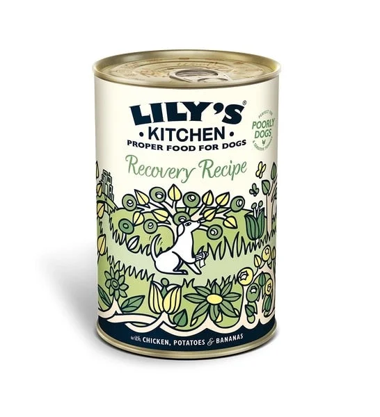 Lily's Kitchen Recovery Recipe Wet Dog Food (400g)