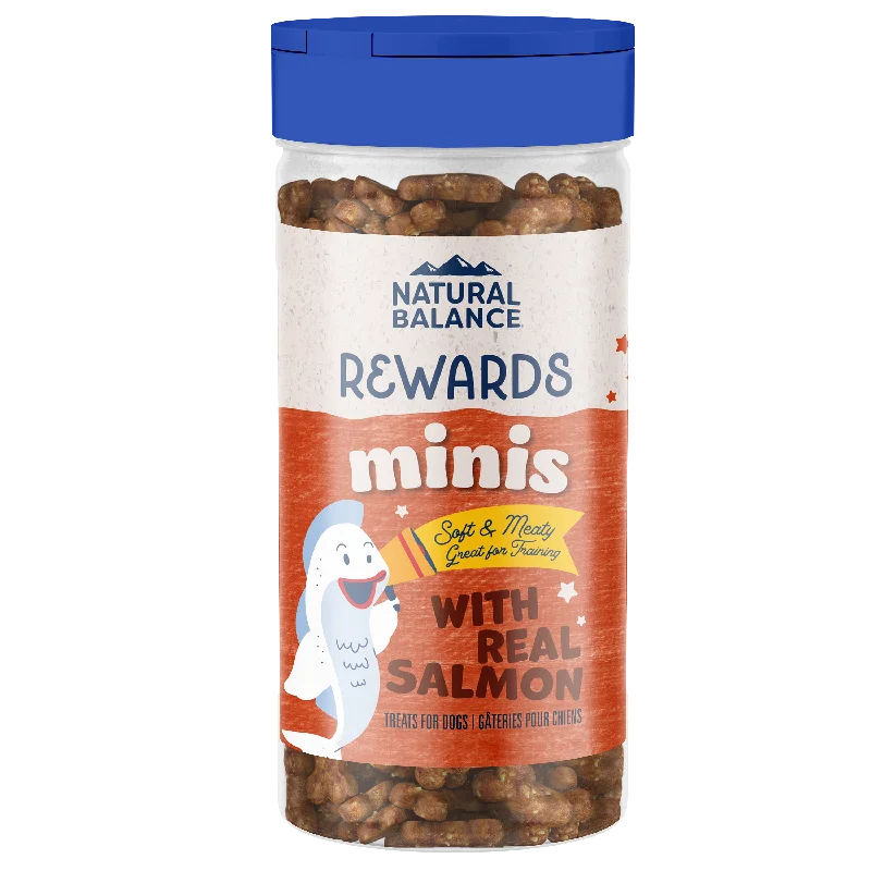 Natural Balance Rewards Minis With Real Salmon Dog Treat