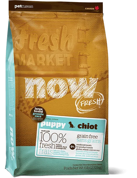 Now Fresh - Grain Free - Puppy - Large Breed