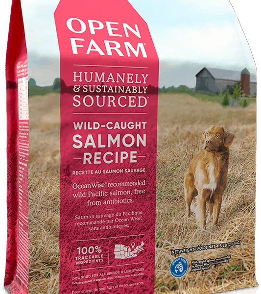 Open Farm Dog Ancient Wild Salmon