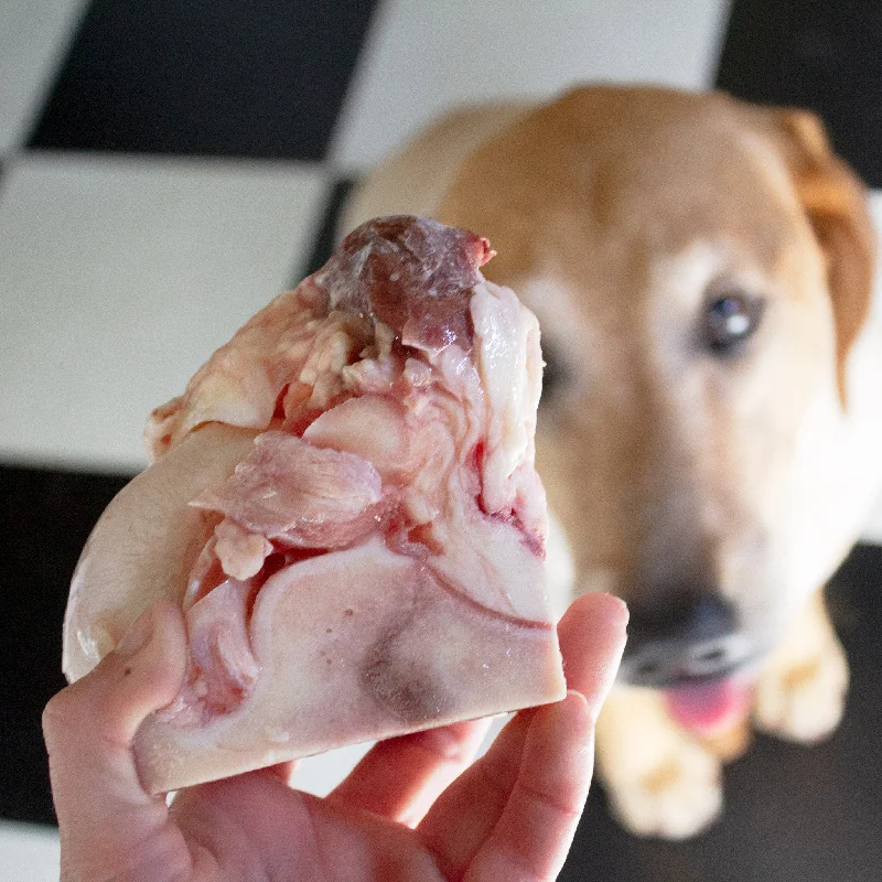 Raw Knuckle Bones for Dogs