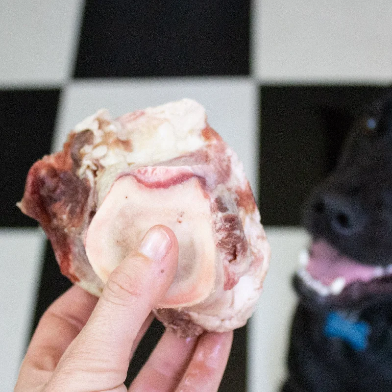 Raw Marrow Bones for Dogs