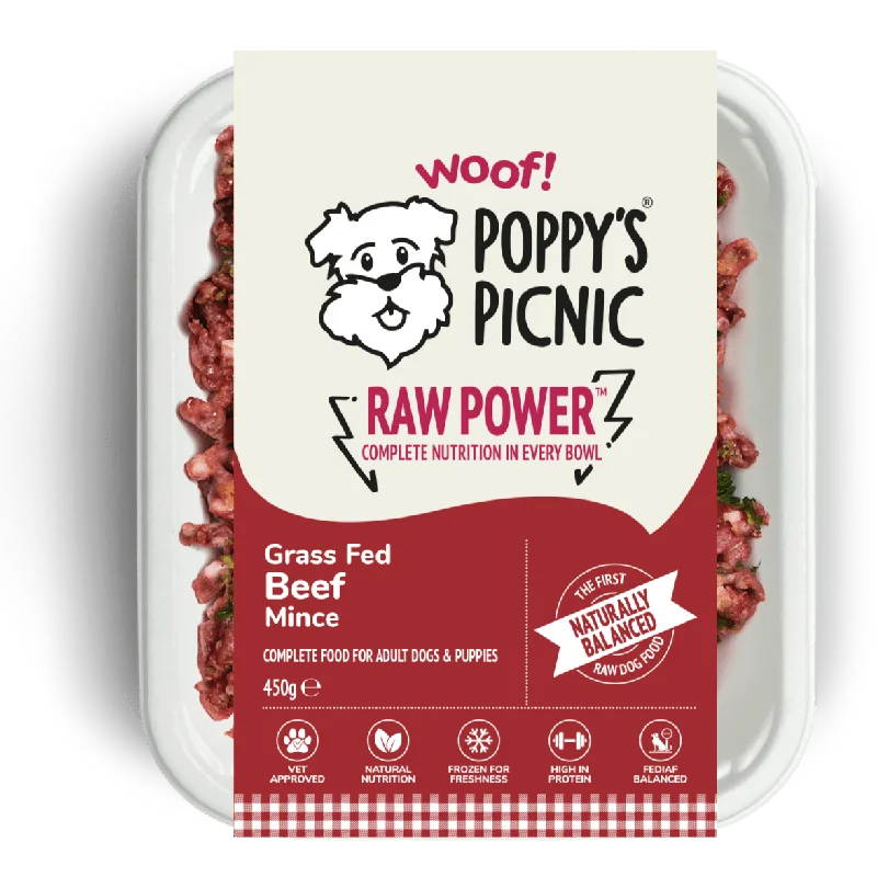 RAW POWER Beef Box of 24