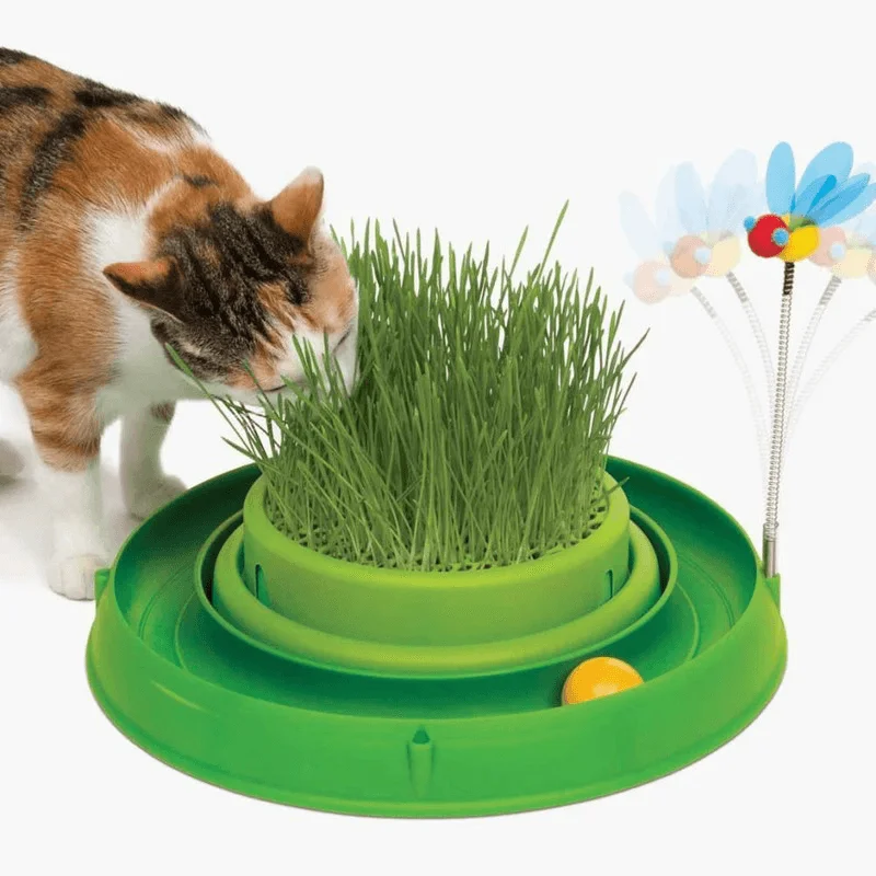 Interactive Cat Toy - Circuit Ball Toy with Cat Grass