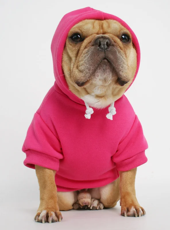 The Jasper Dog Hoodie