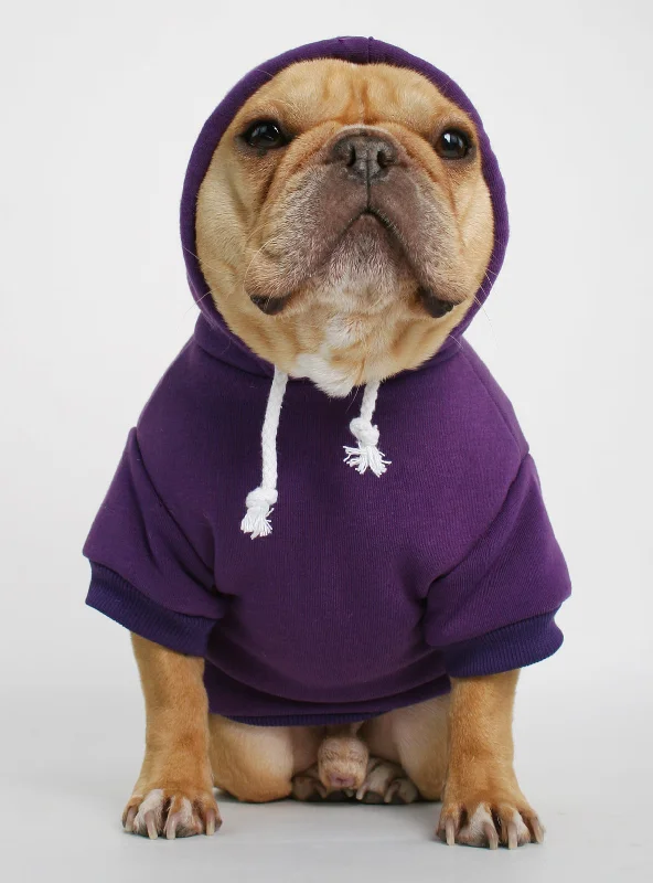 The Jasper Dog Hoodie