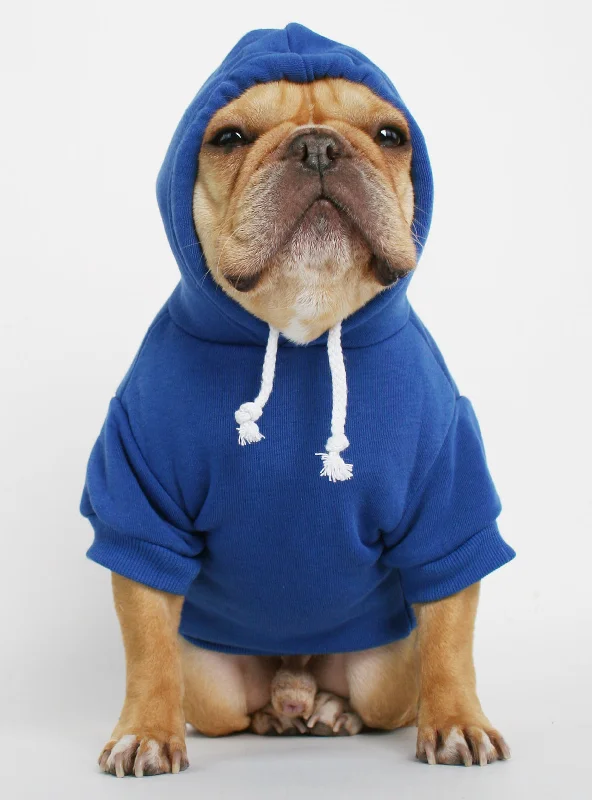 The Jasper Dog Hoodie